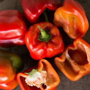 Big Red Pepper (75 Days)