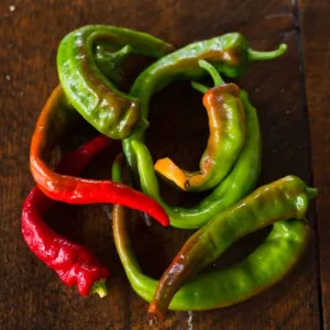 Hot Portugal Pepper (Heirloom 65-75 Days)