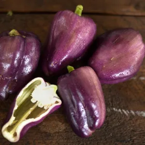 Lilac Bell Pepper (70 Days)